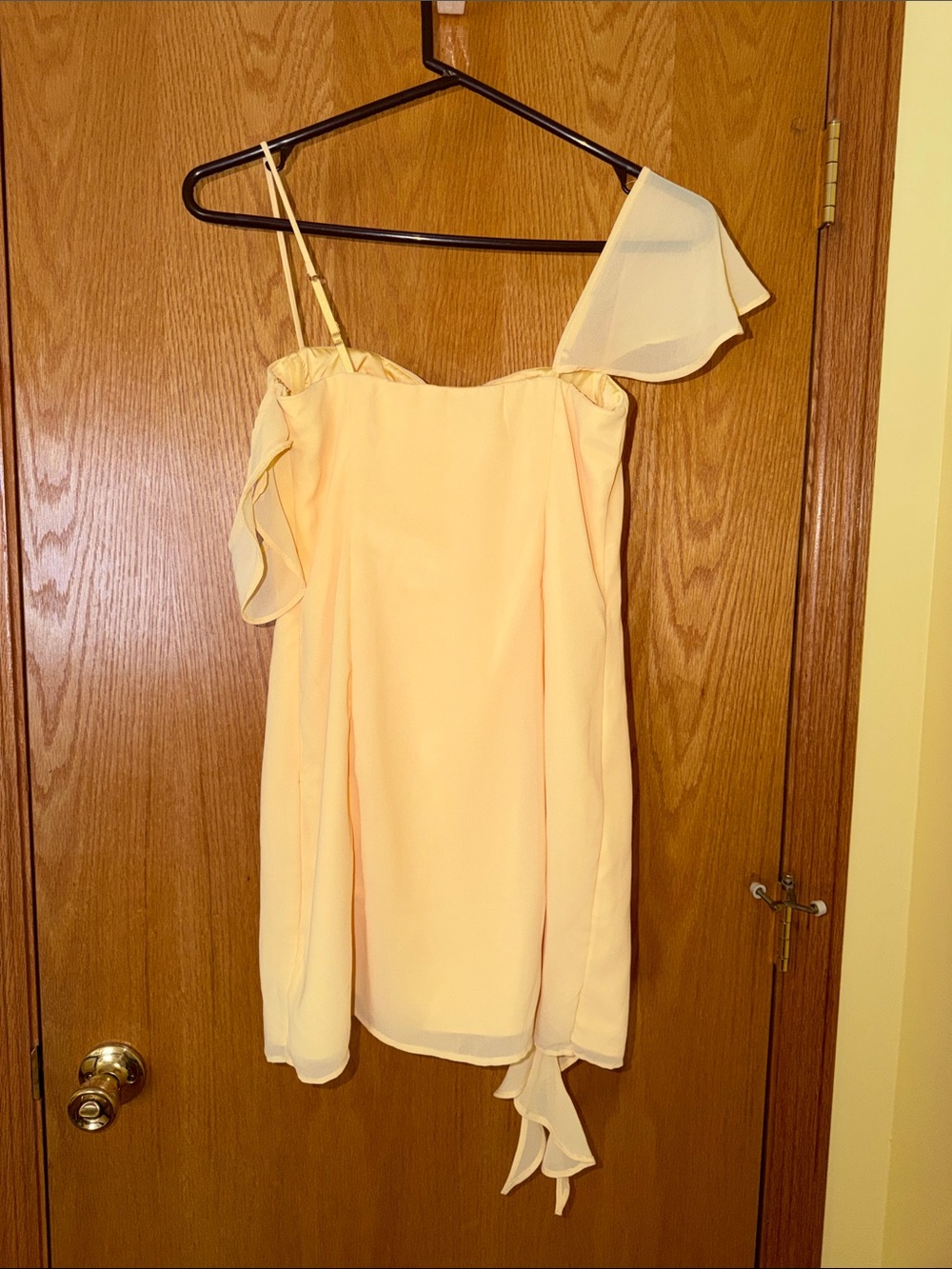 Oh Polly Ruffle Mini Dress - Picture 4 of 4